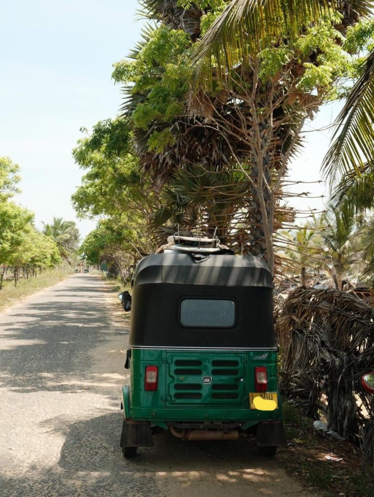tuktuk-arugam-bay-surfing